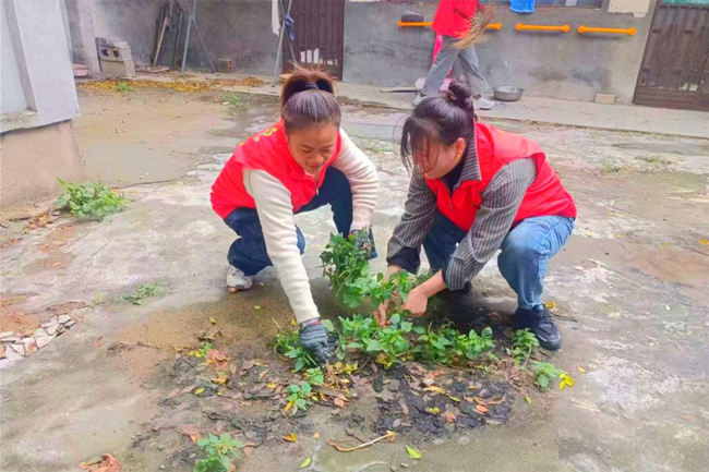 图片4_副本