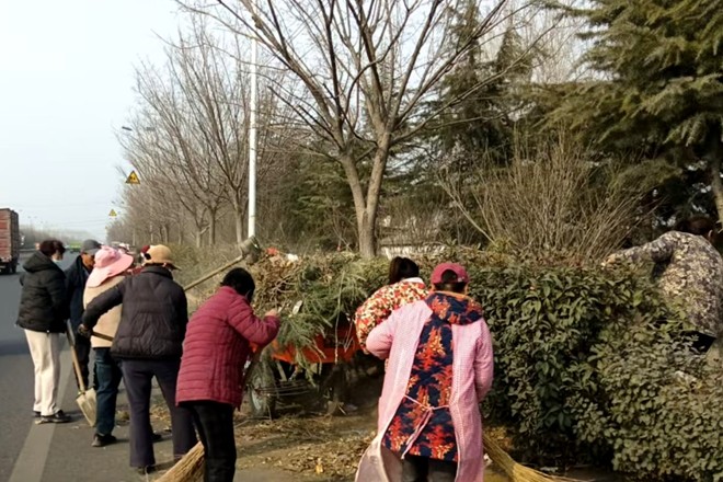 微信图片_20250306102908_副本