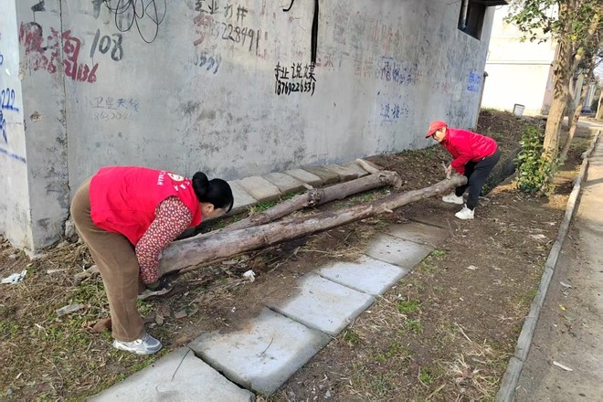 微信图片_20250306102439_副本