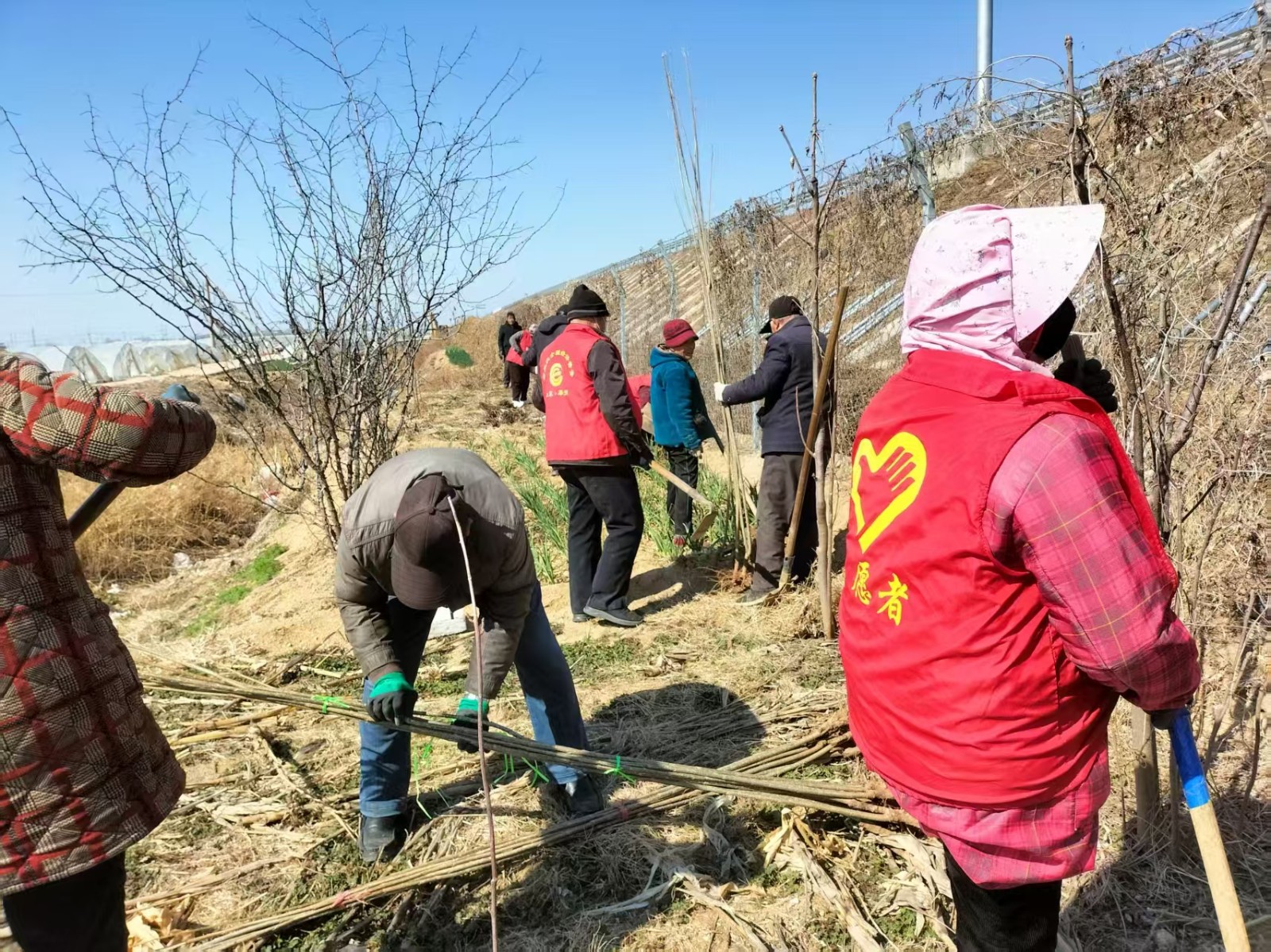 微信图片_20250317095723