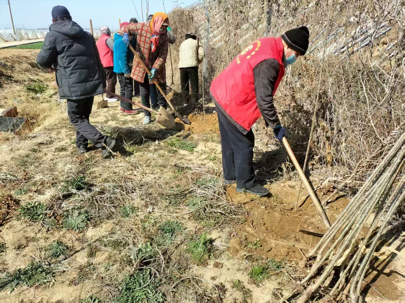 微信图片_20250317095740