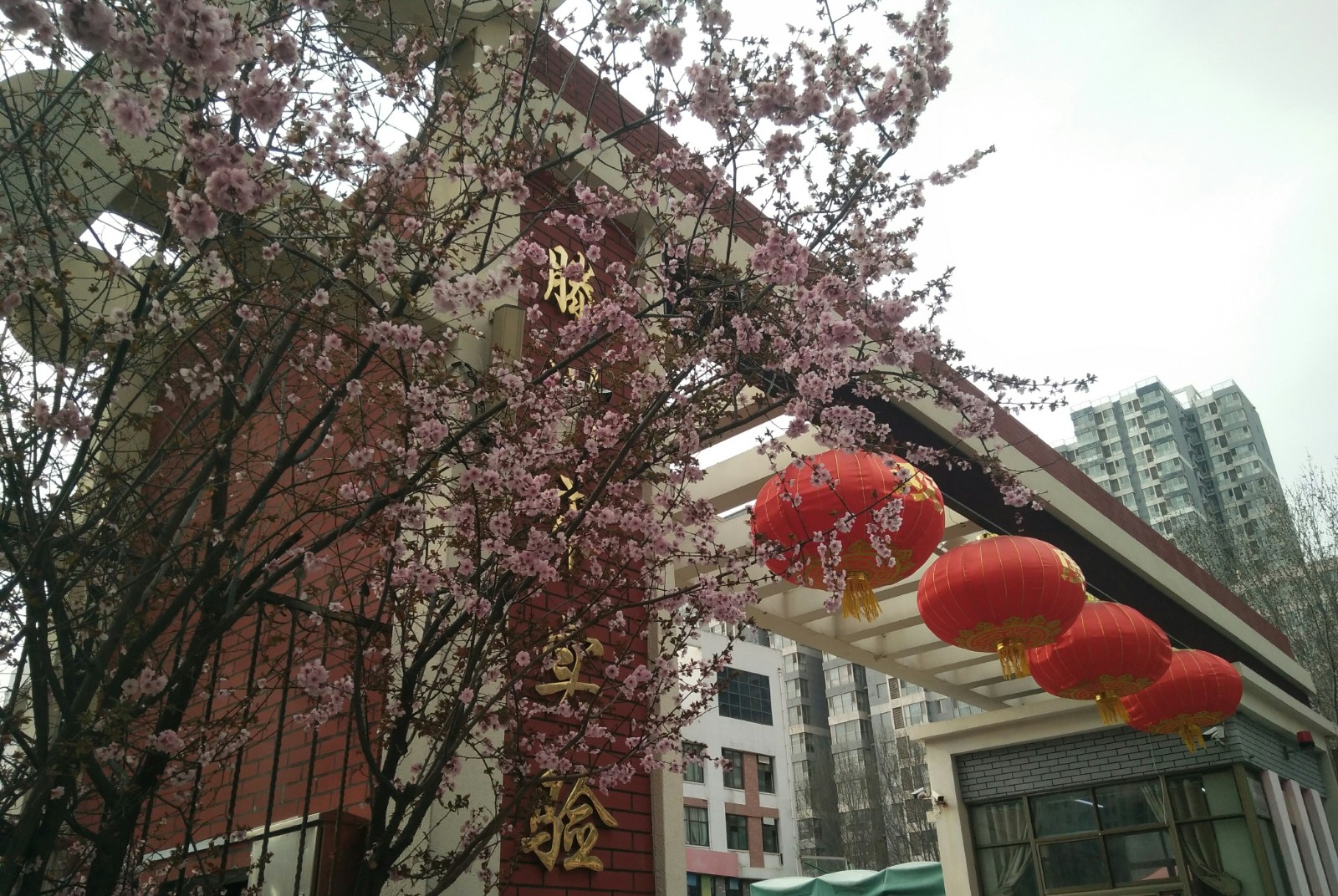 图1