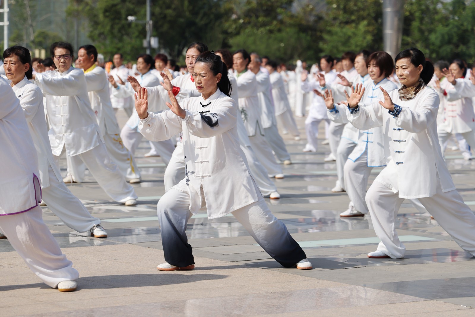 微信图片_20250520162436