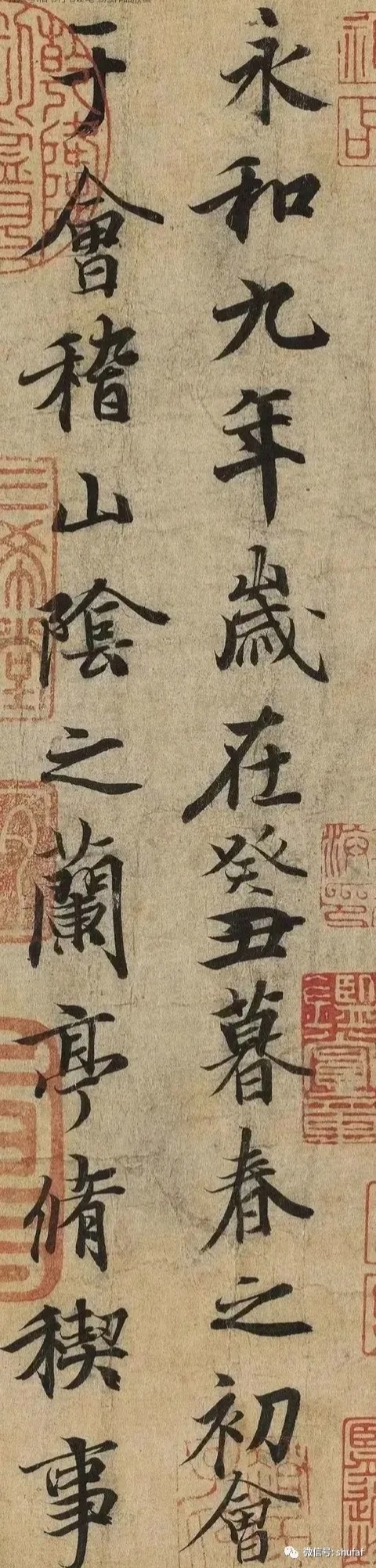 微信图片_20250604120615