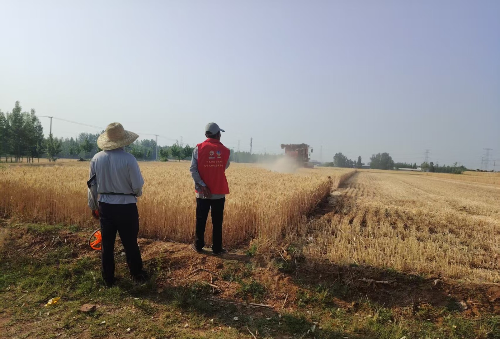 微信图片_20250528154936_副本