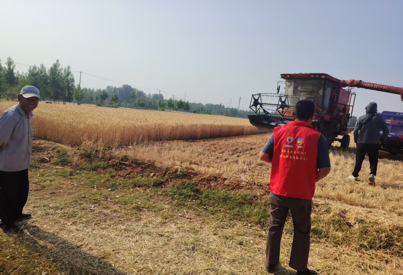 微信图片_20250528154929_副本