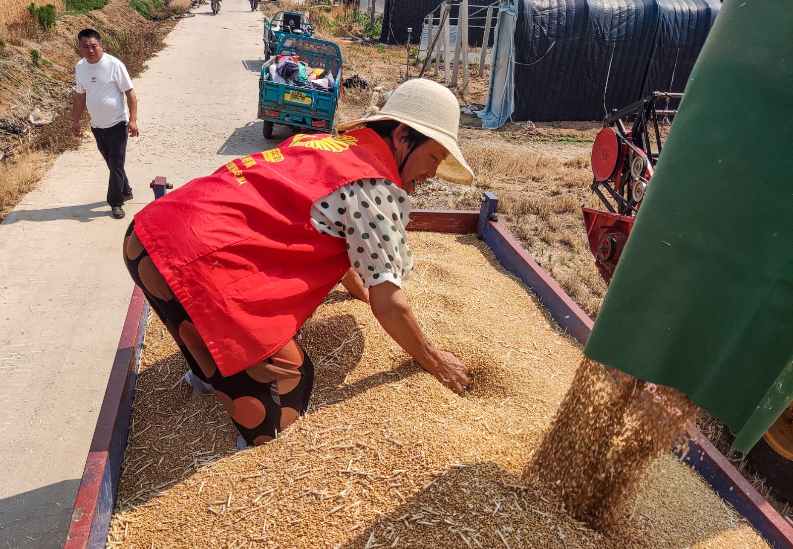 微信图片_20250601154958