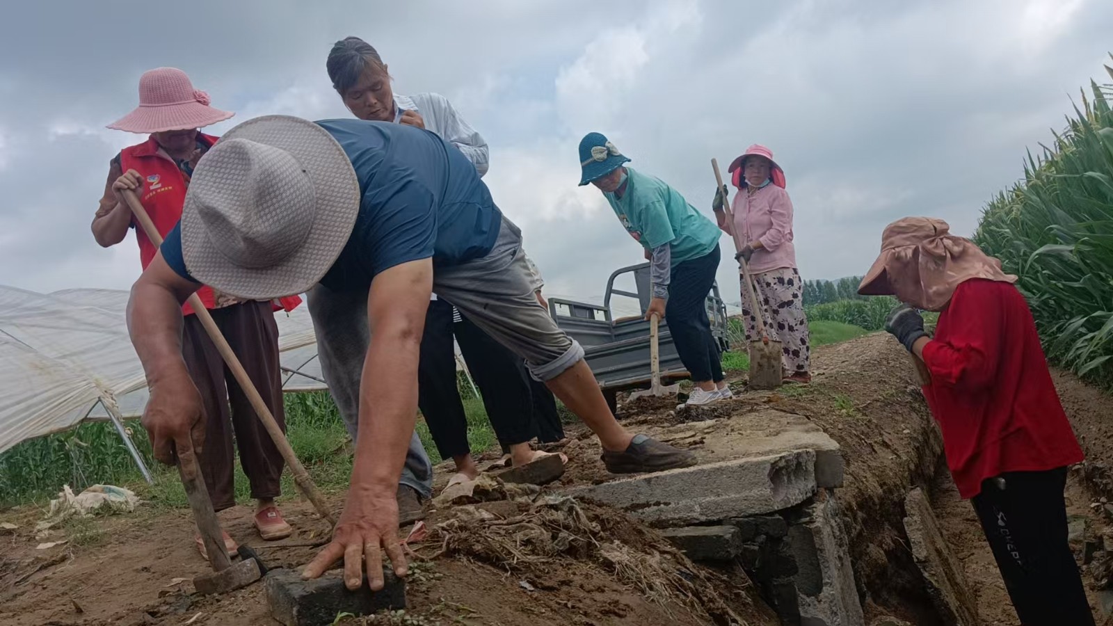 微信图片_20250630161155