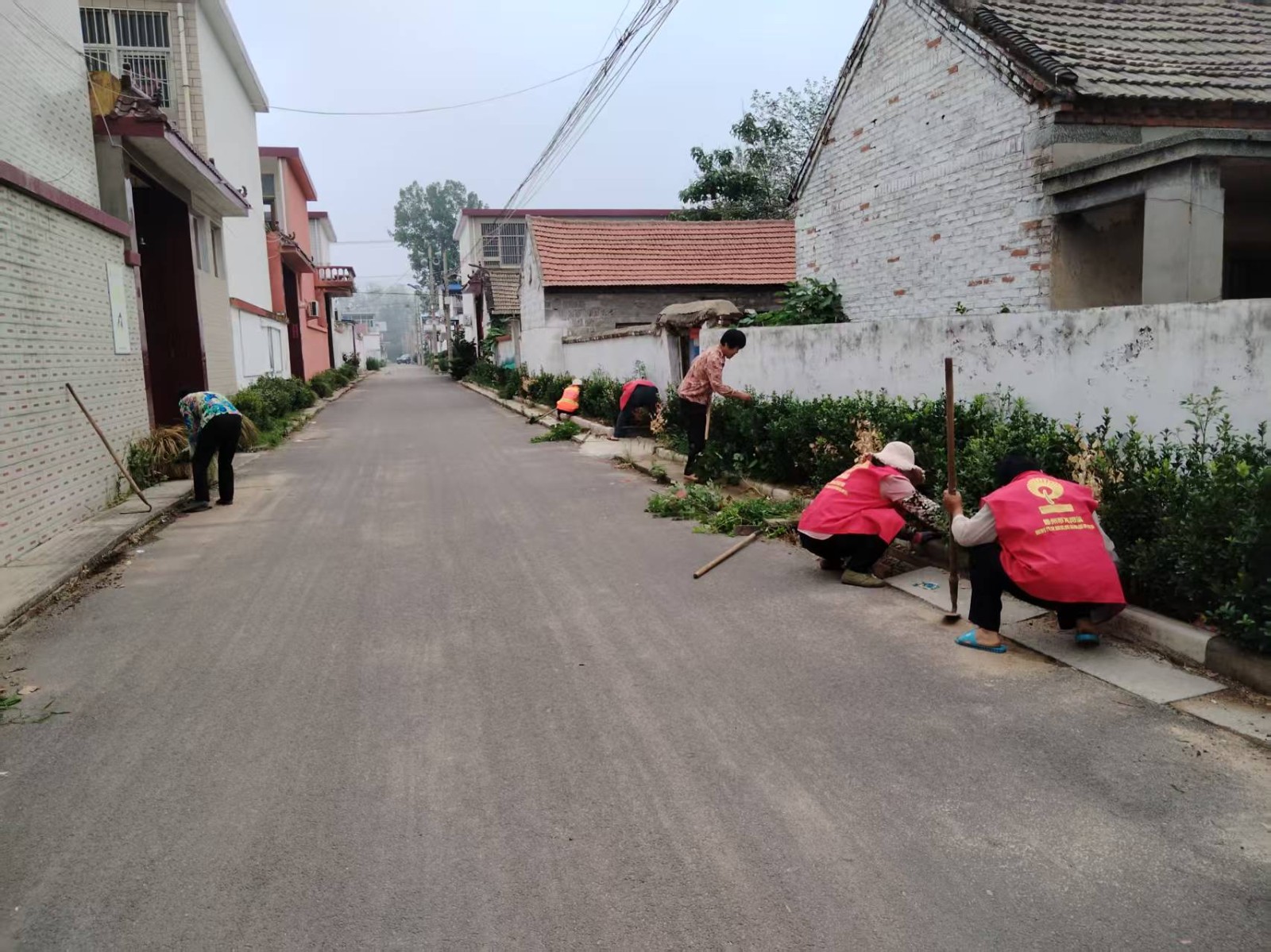 微信图片_20250710102039