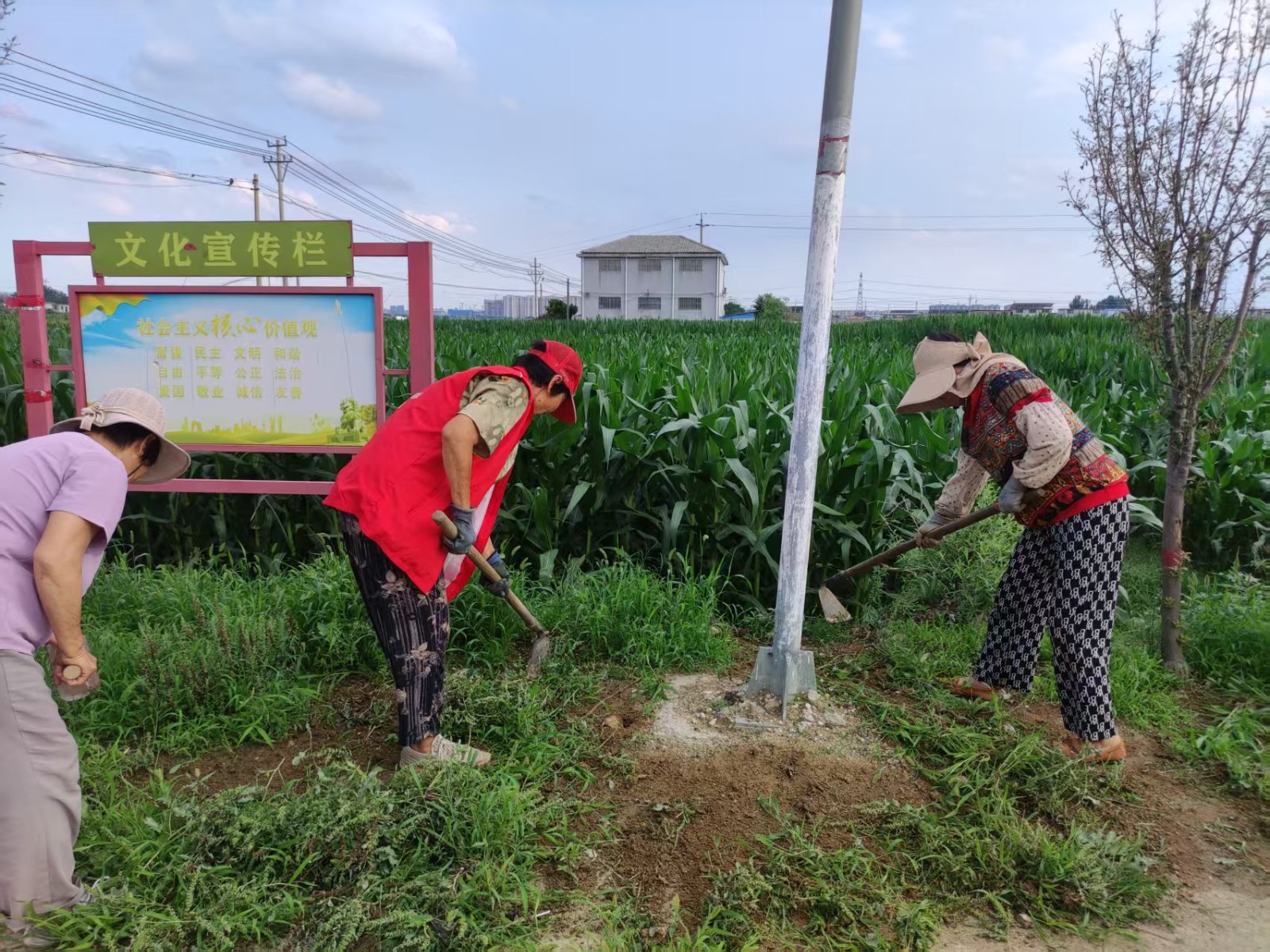 微信图片_20250710101933