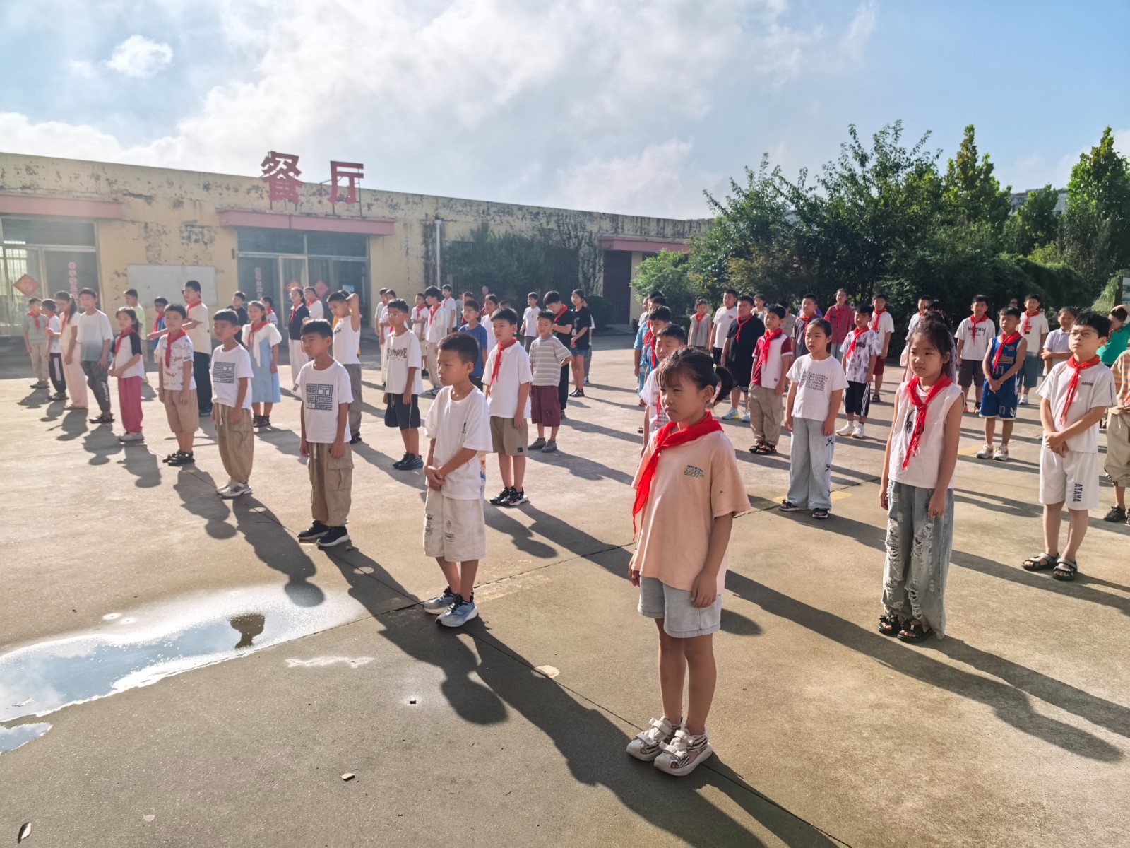 43fd5c0b6bb753197310158f7576354