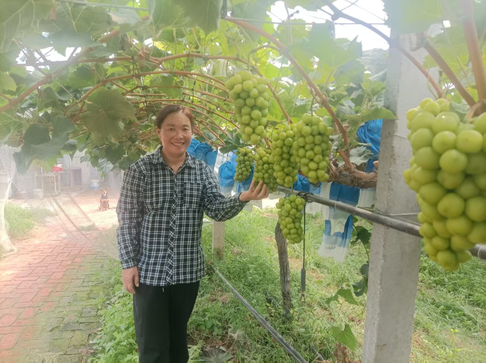 微信图片_20250905110019_695_29