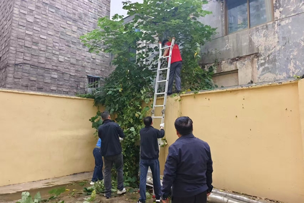 微信图片_2025-09-30_163353_669