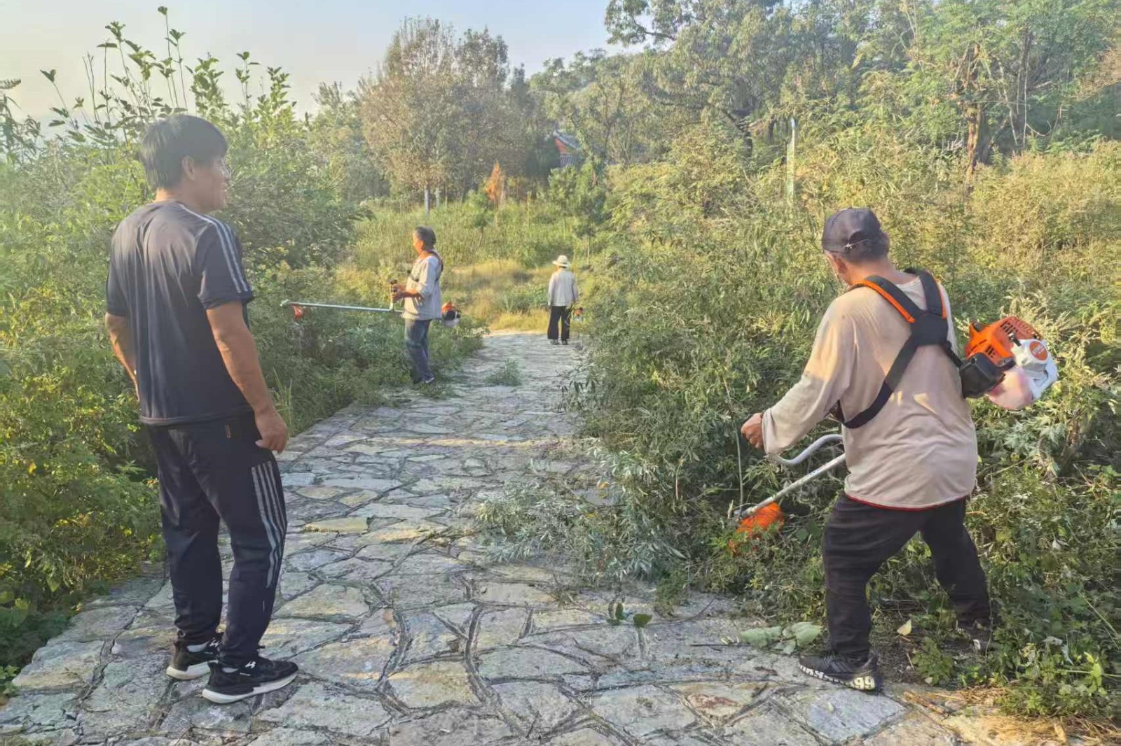 林业站组织护林员做好国庆节期间森林防火工作，清理环山路杂草卫生。