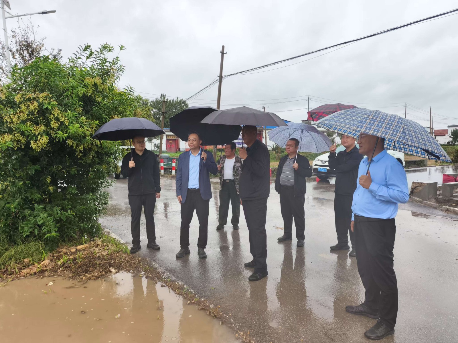 98361a9521d5fc2f3c215e6461dfdfd0