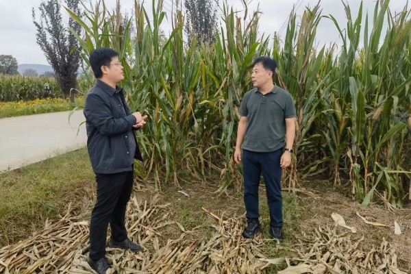 微信图片_20251006144227_1879_11