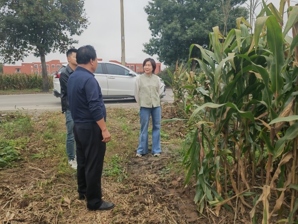 微信图片_20251007124900_3572_289_副本