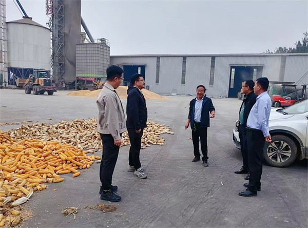 微信图片_20251009161615_195_277_副本