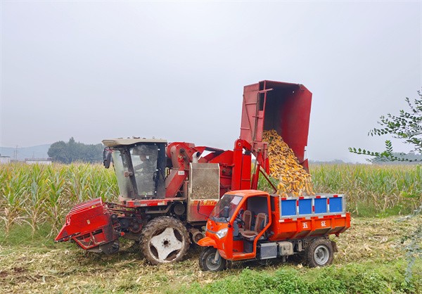 10bb412d7921ed8de3d21f2d20f63048_副本