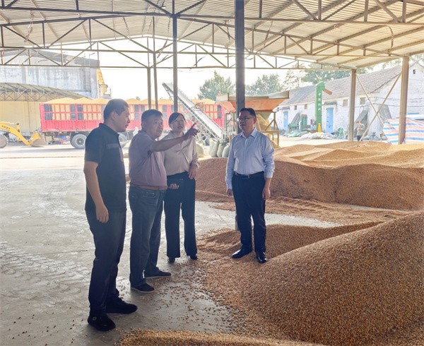 微信图片_20251009101659_1154_227_副本