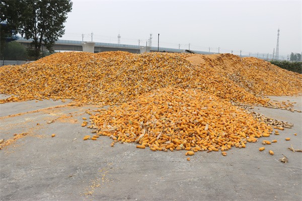 微信图片_20251009172125_1_25