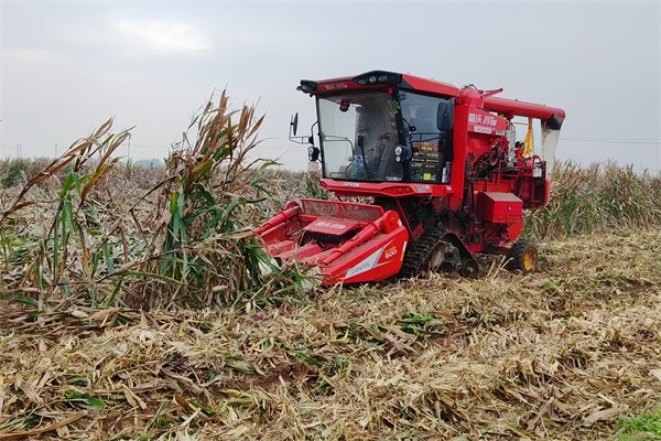 80260576add2b729f96cf288594b4c47_副本