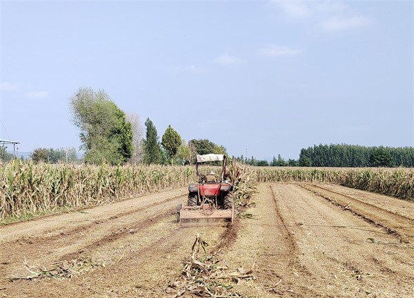 微信图片_20251009145546_30_244_副本