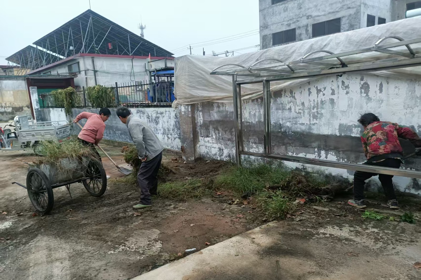 25fd66f6aa5999a910ef21ffc9010d2d