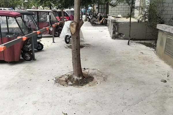 微信图片_20251011101203_副本