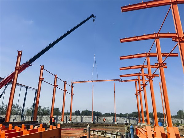 微信图片_20251014112000_756_37_副本