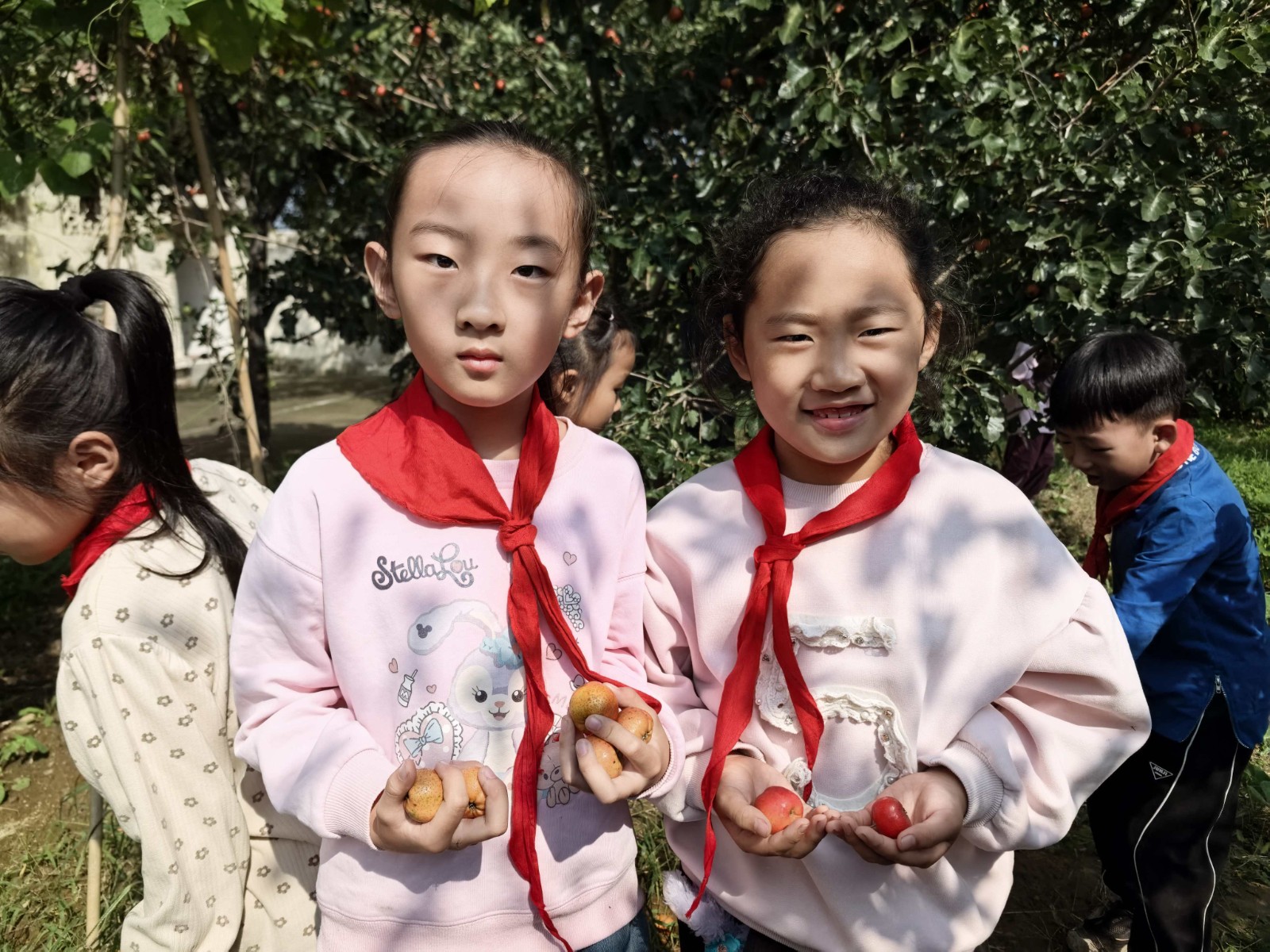 1290422d49138133353e5596ce43ebe7