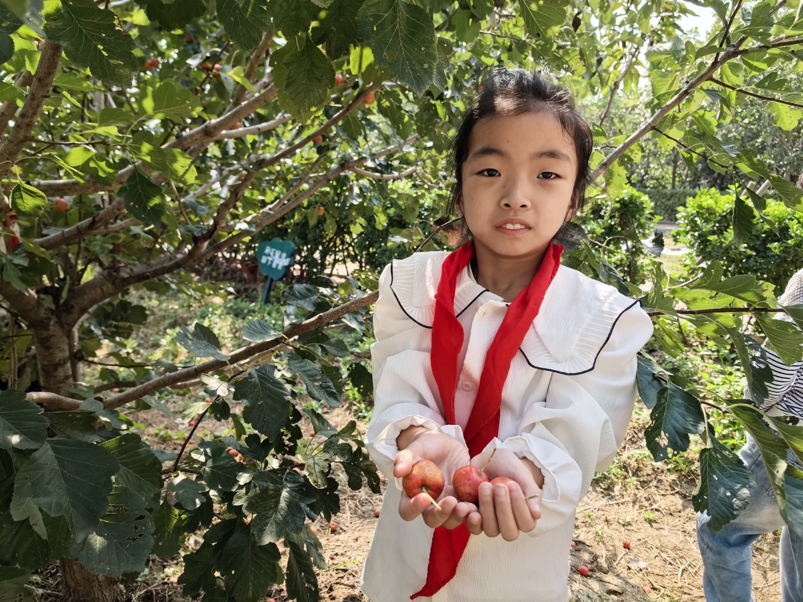 3fdf48d1f232193e3ac371d601a56370