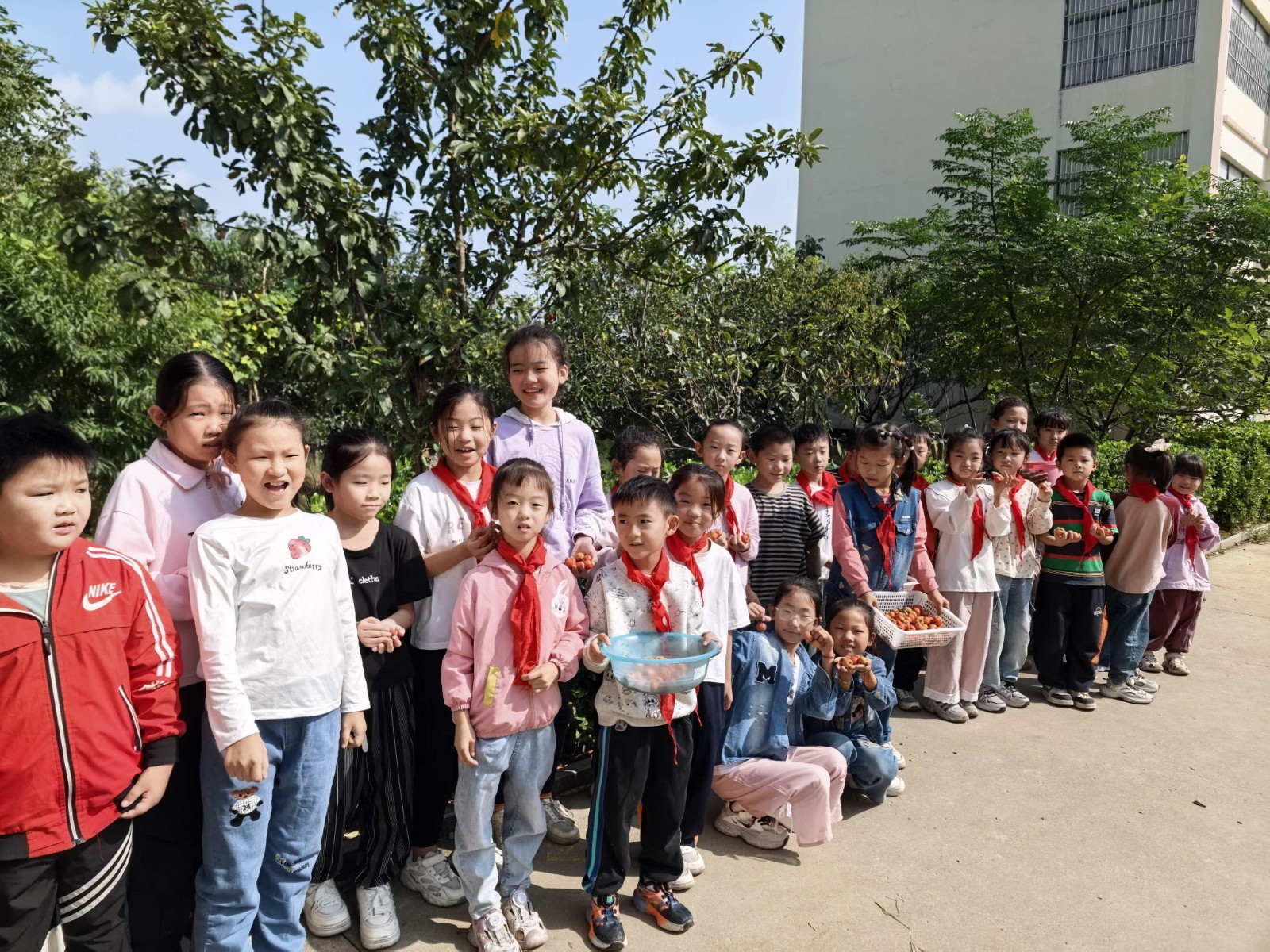 a4922436a4381db8bcc5d16d488626ae