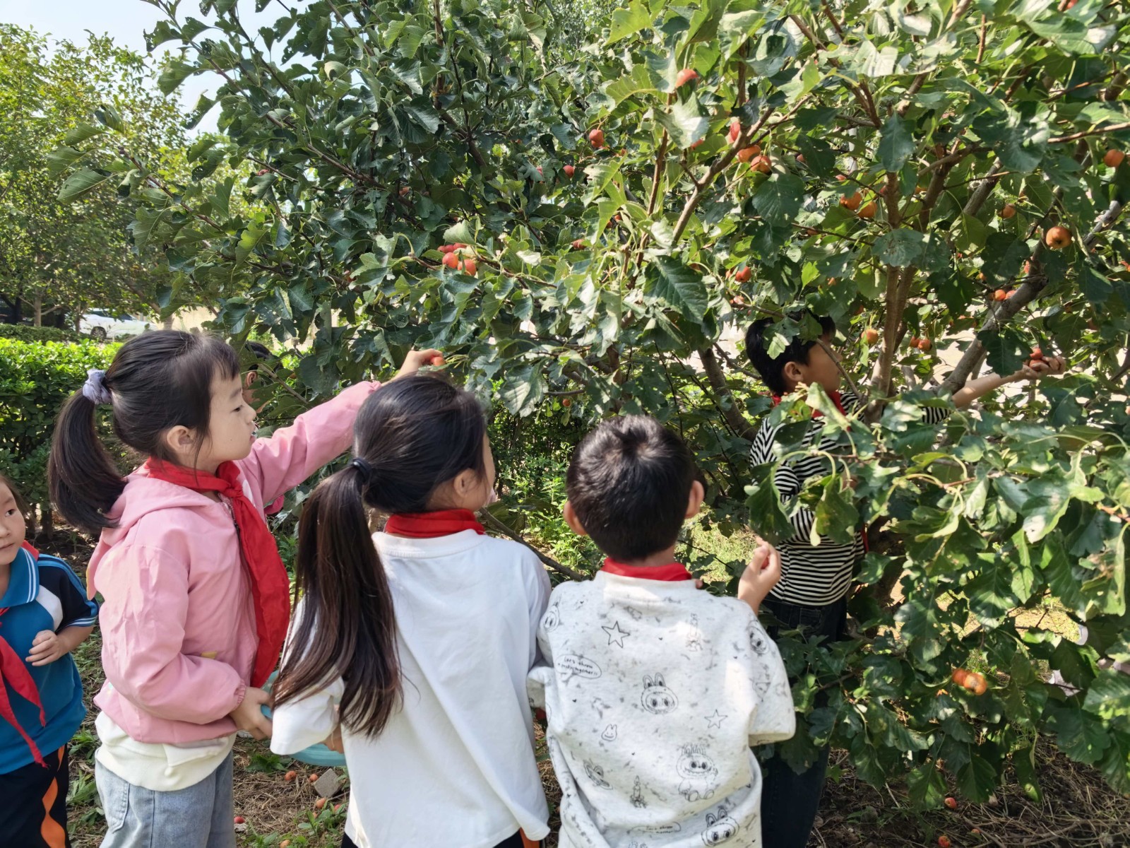 894413e076684239ac6c6cf2f26ece48