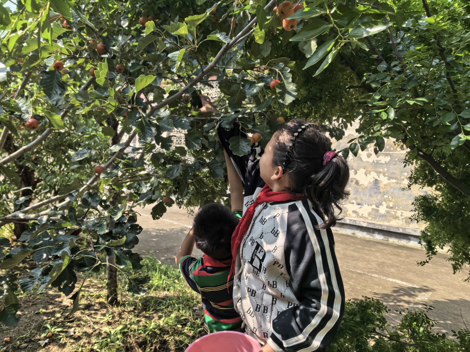 1692785a76fbb6c16ca4cc64edaa5759