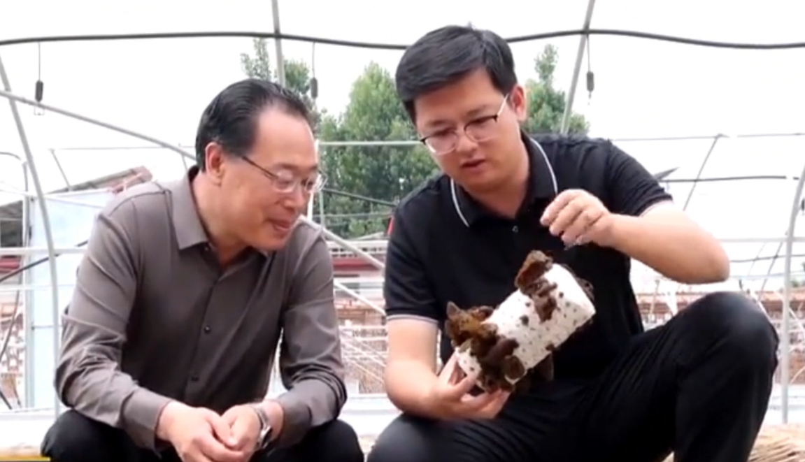 微信图片_20251023142150_277_2
