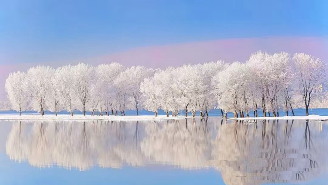 微信图片_20251024113930_327_31