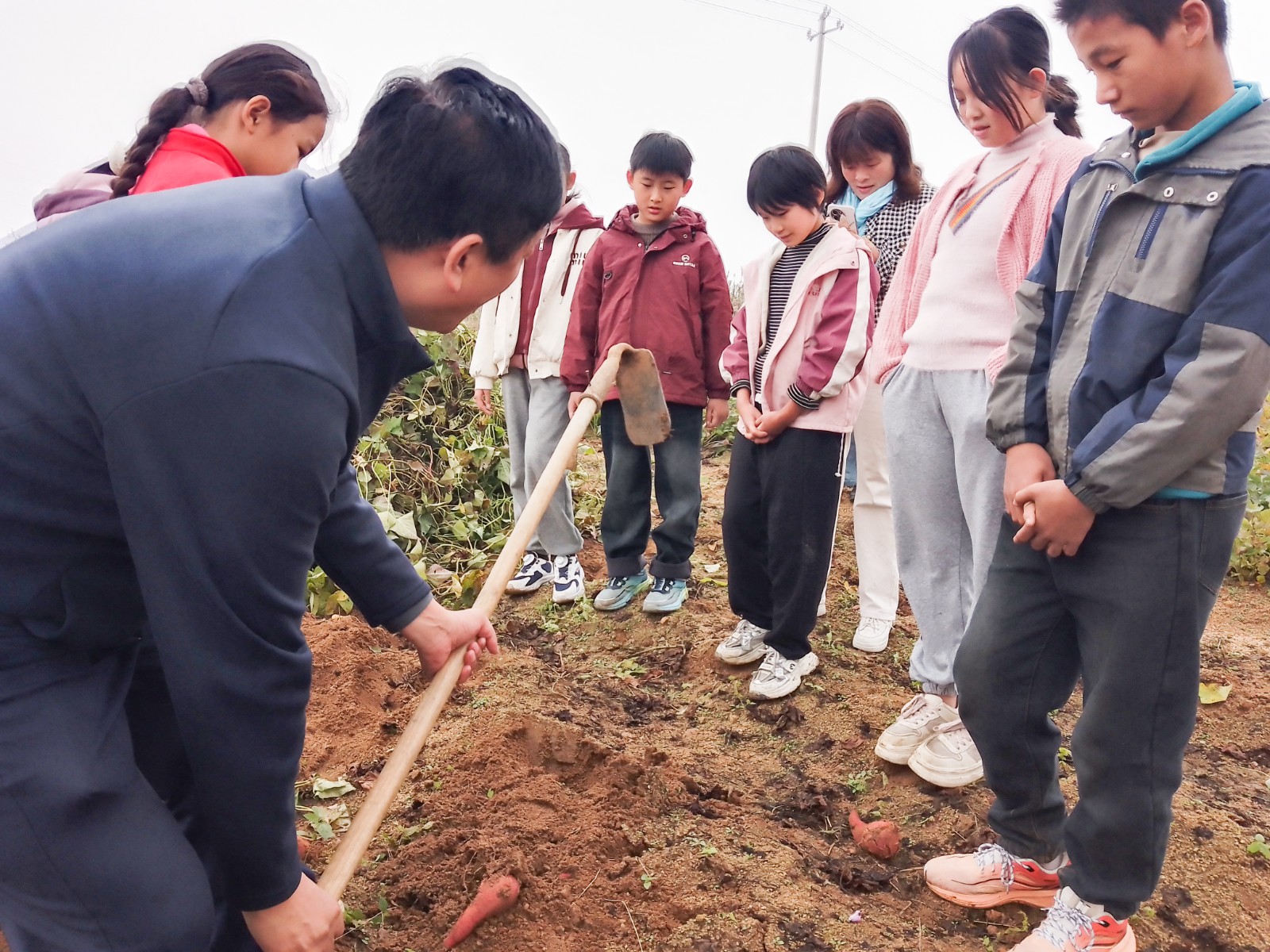 微信图片_20251026124238