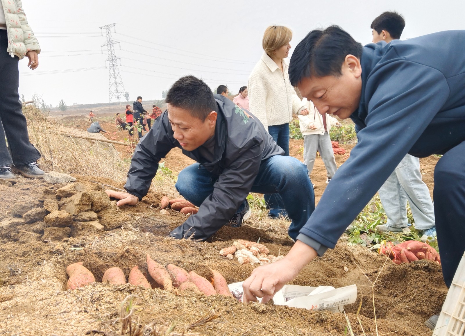 微信图片_20251026124002