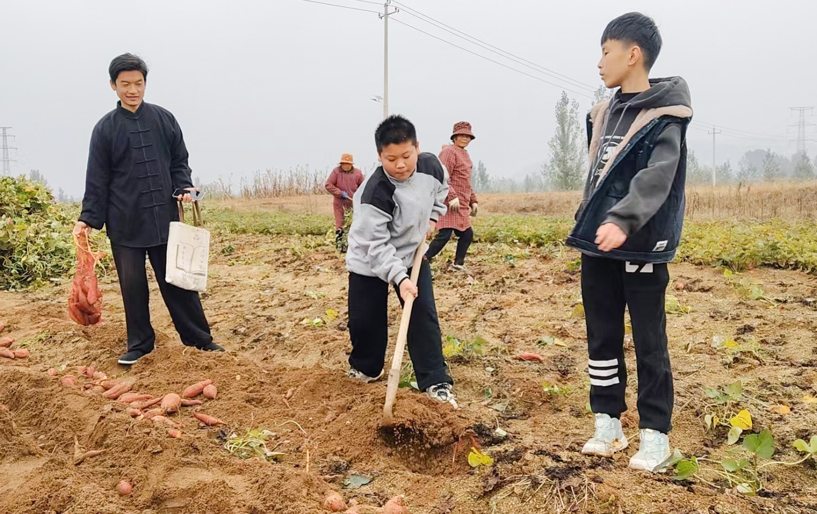 微信图片_20251026124132