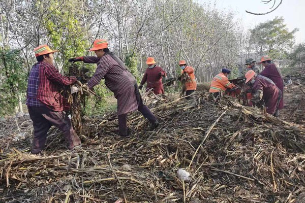 微信图片_20251101145953_3907_103_副本