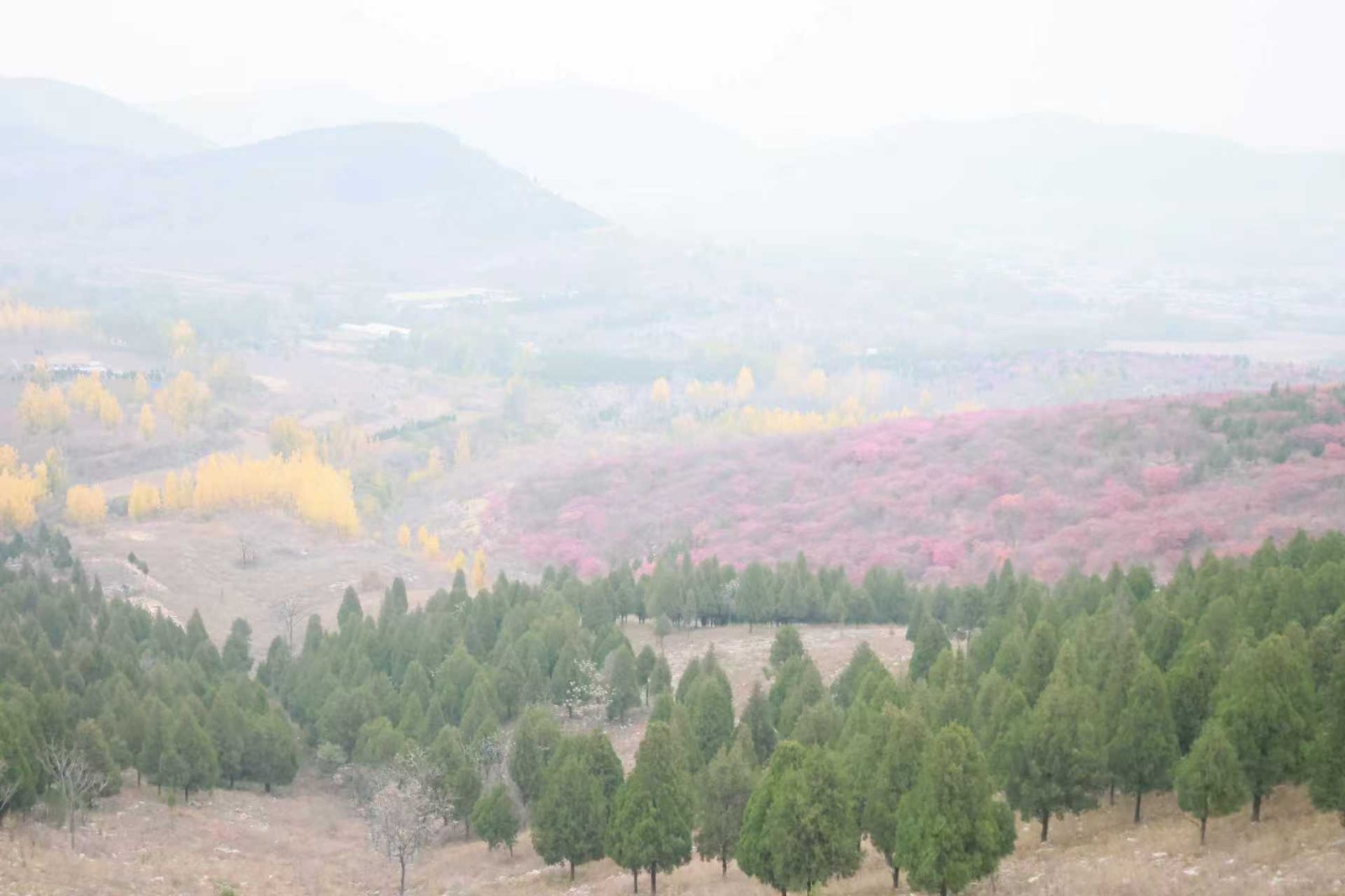 61dd927e7bc9cd5cc47da0ab2c8b625