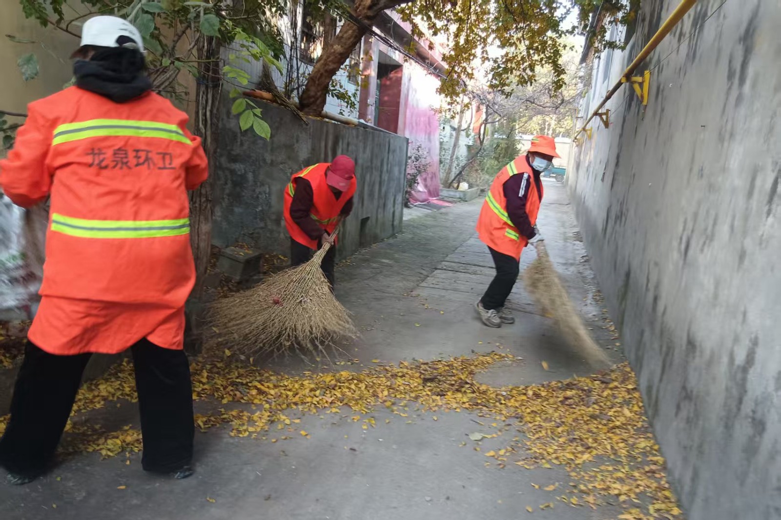 微信图片_20251108152511