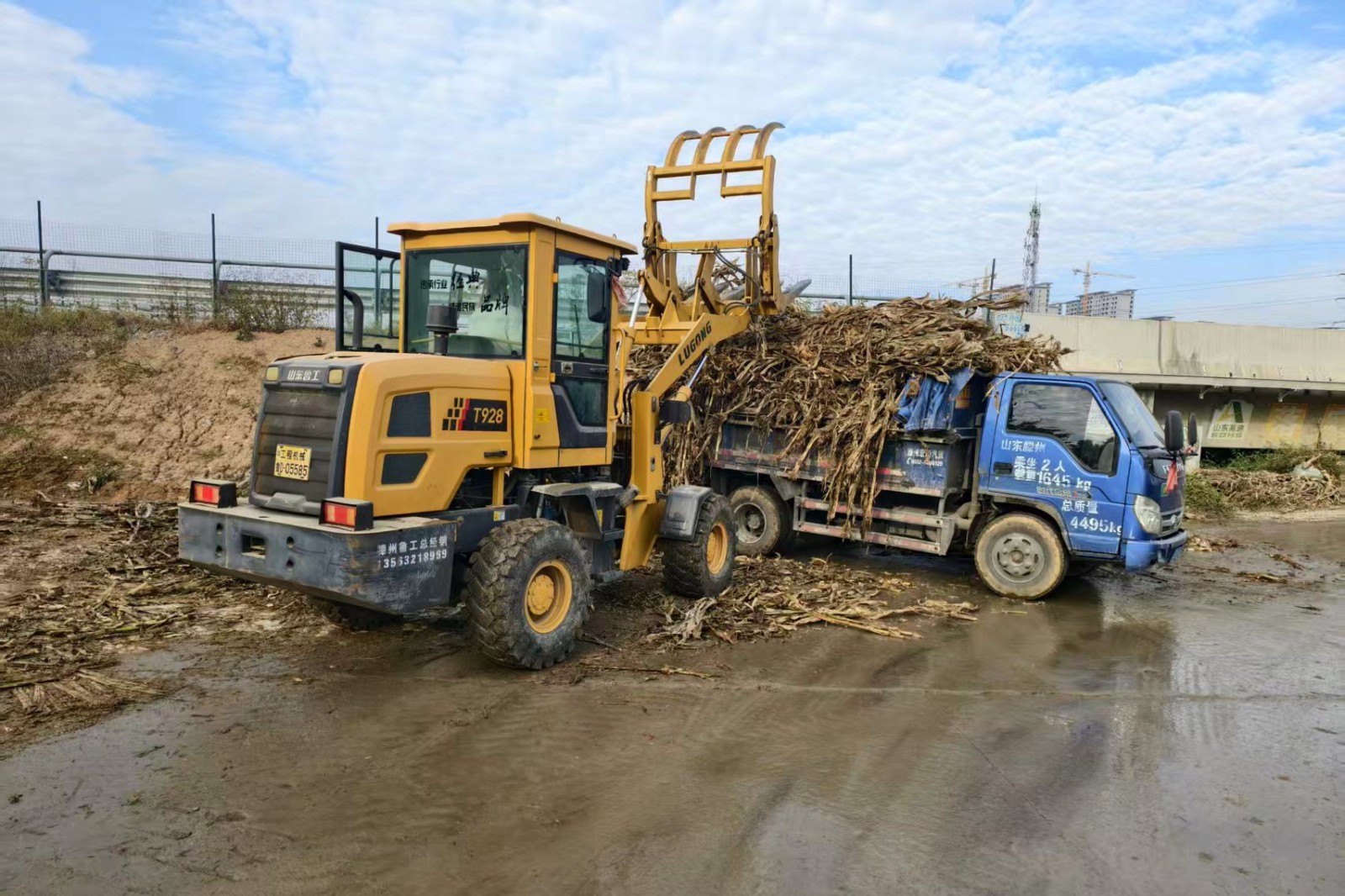 微信图片_20251108152341