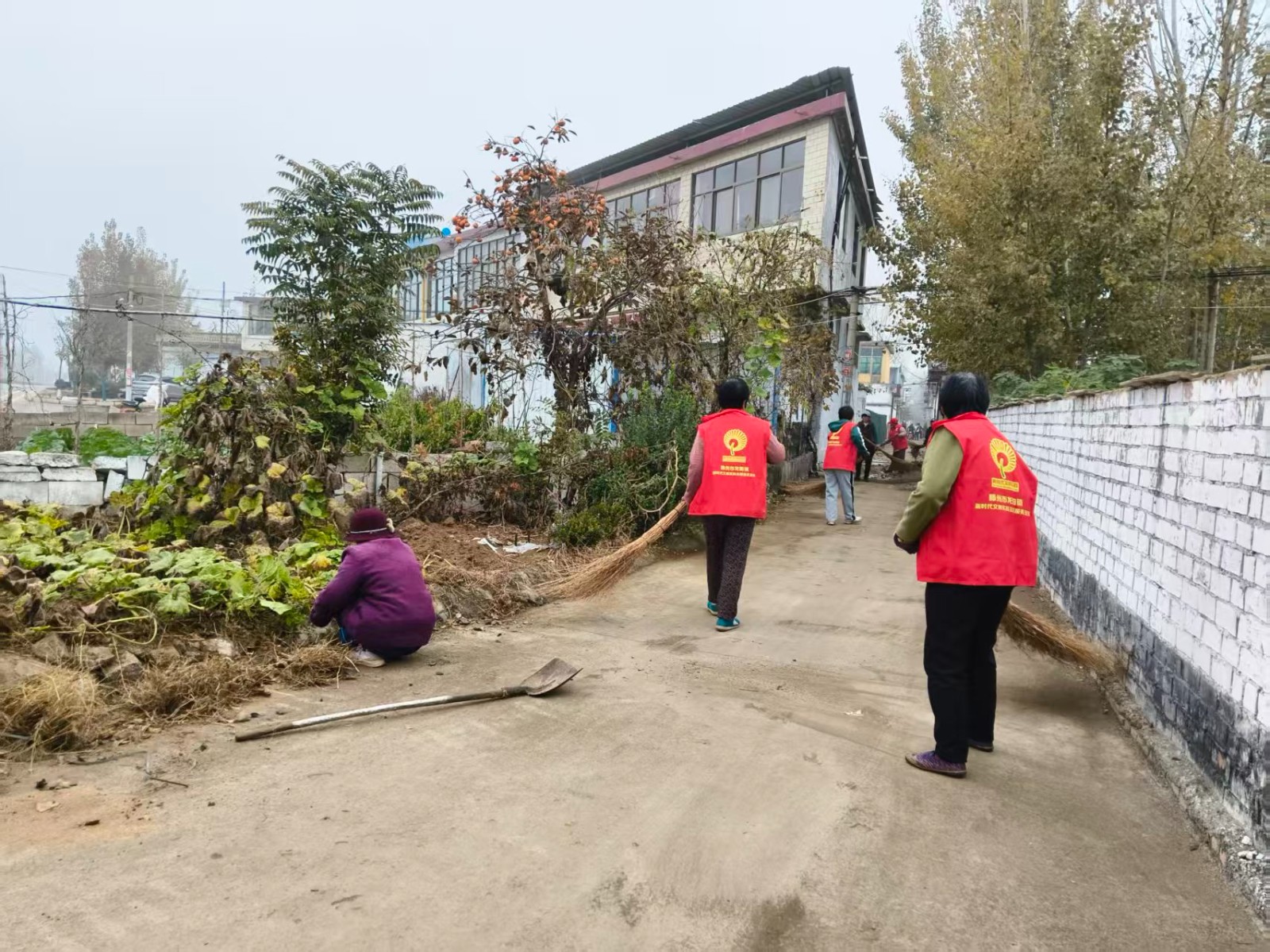 微信图片_20251112152000_589_11