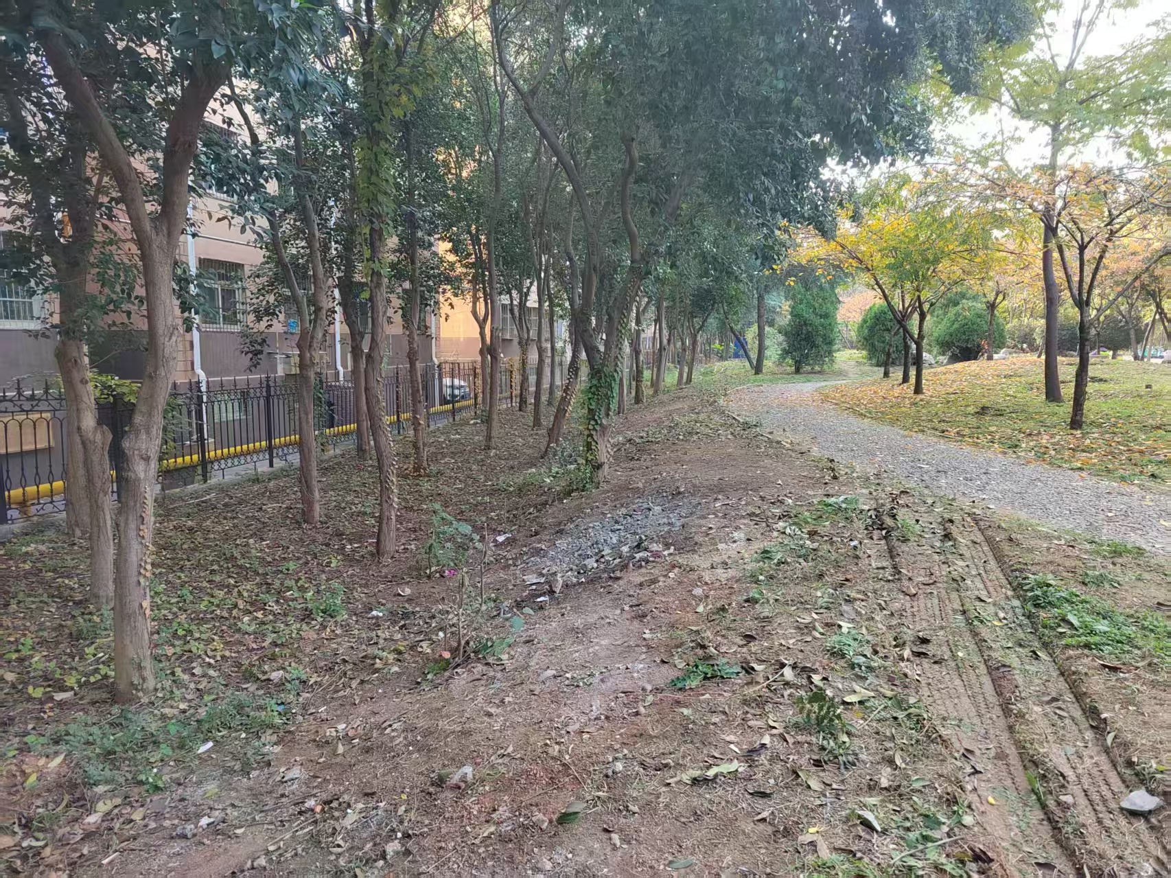 微信图片_2025-11-12_170829_582