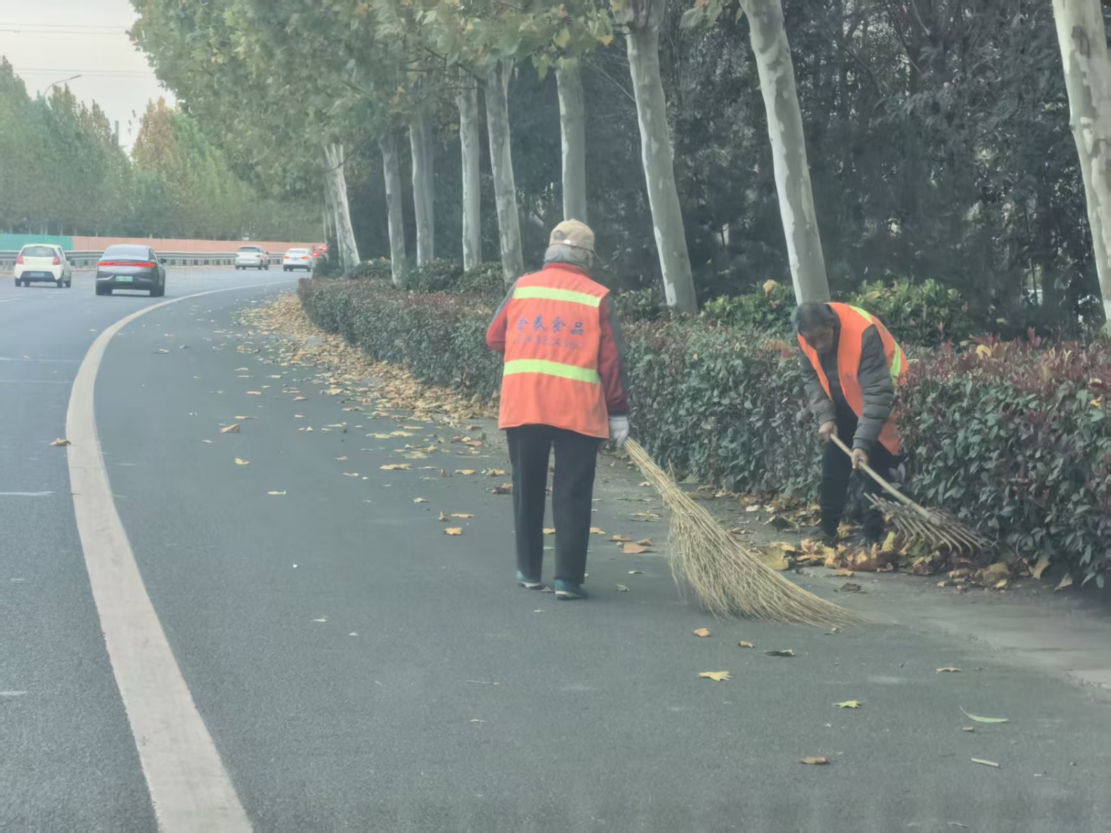 微信图片_20251117153950