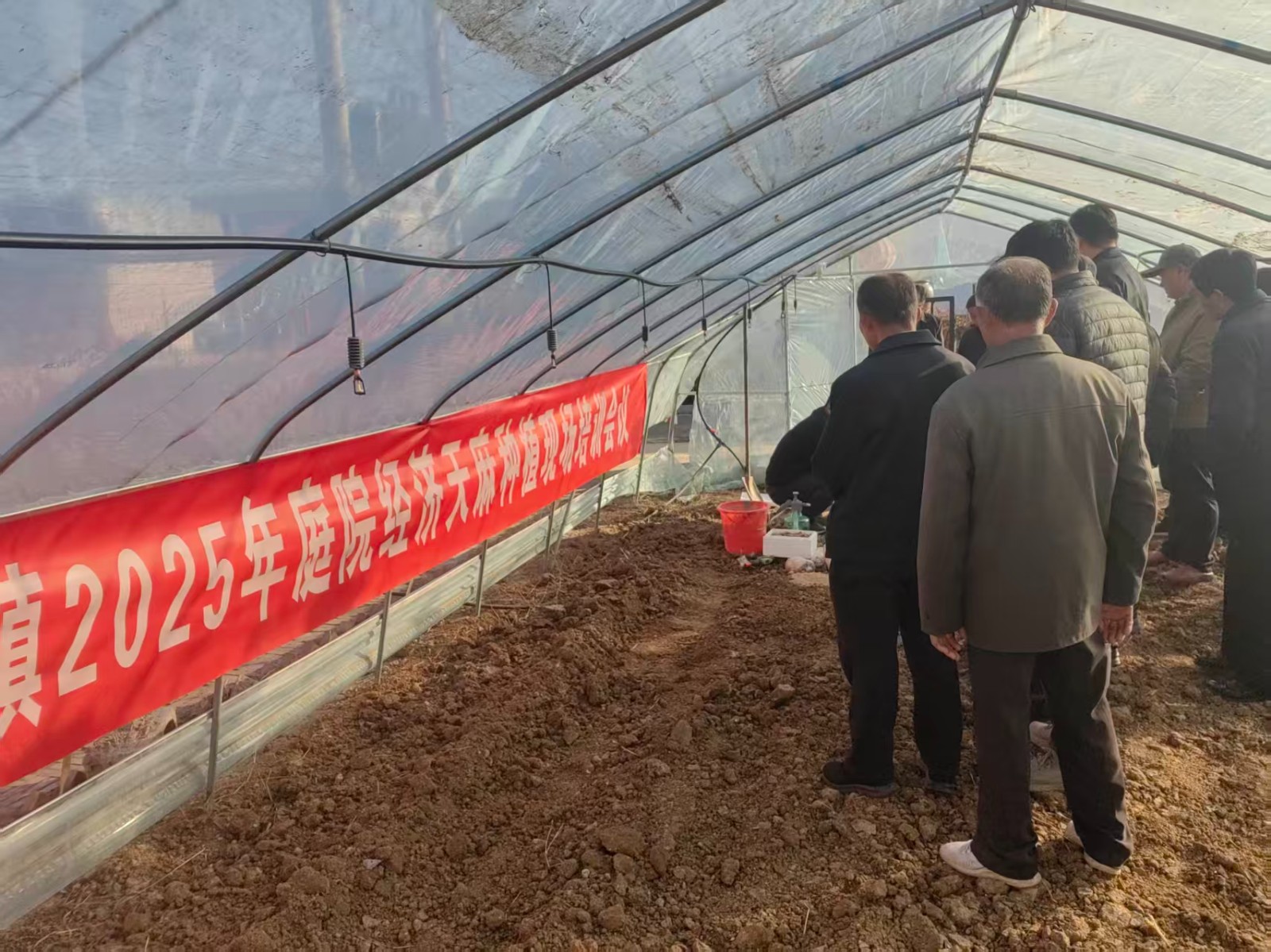 微信图片_20251125150619_6136_9