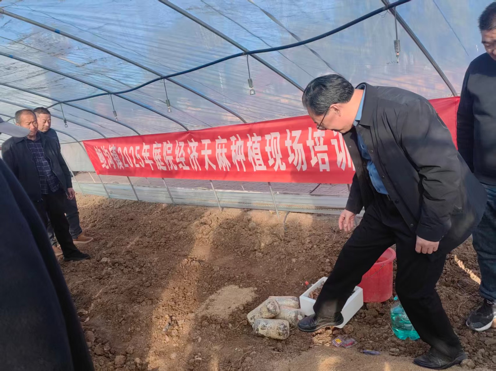 微信图片_20251125150615_6133_9