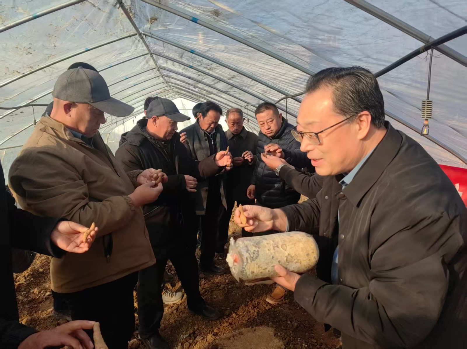 微信图片_20251125150617_6134_9